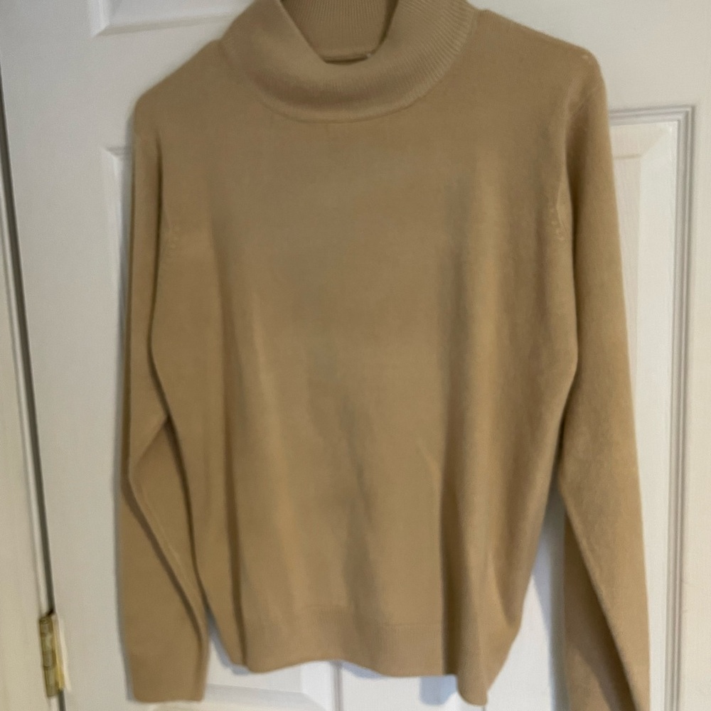 Cashmere turtleneck sweater